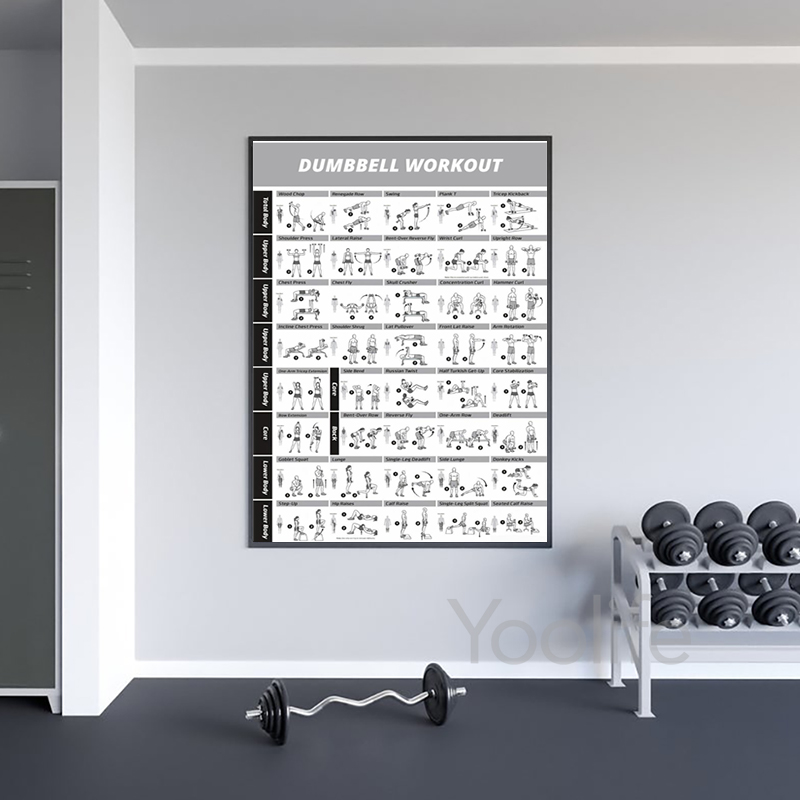 Workout-Übungsdiagramm Poster, – Sports Equipment Poster Bewertung und Preis